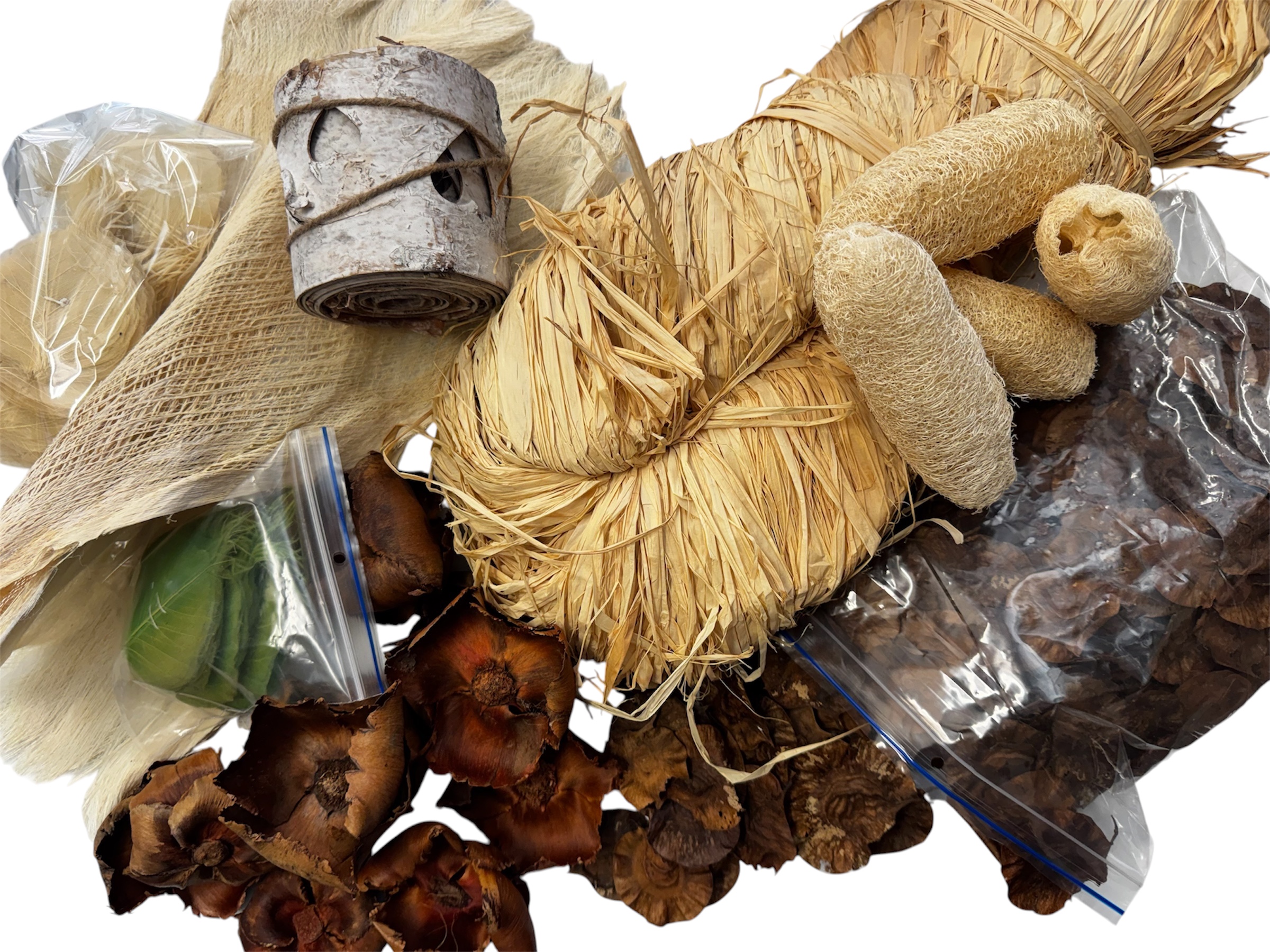 Dried Plant Materials