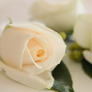 Simple Wedding Flowers | Classic Wedding Flowers | A Floral Affair by Francine Thomas