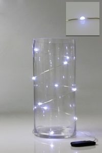 LED Seed Light 1m White