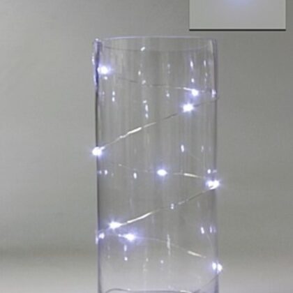 LED Seed Light 1m White