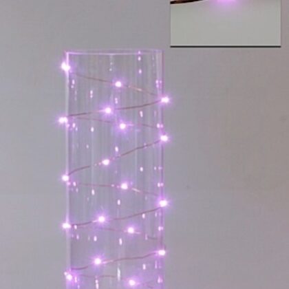 LED Seed Light 2m Pink