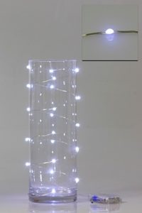 LED Seed Light 2m White